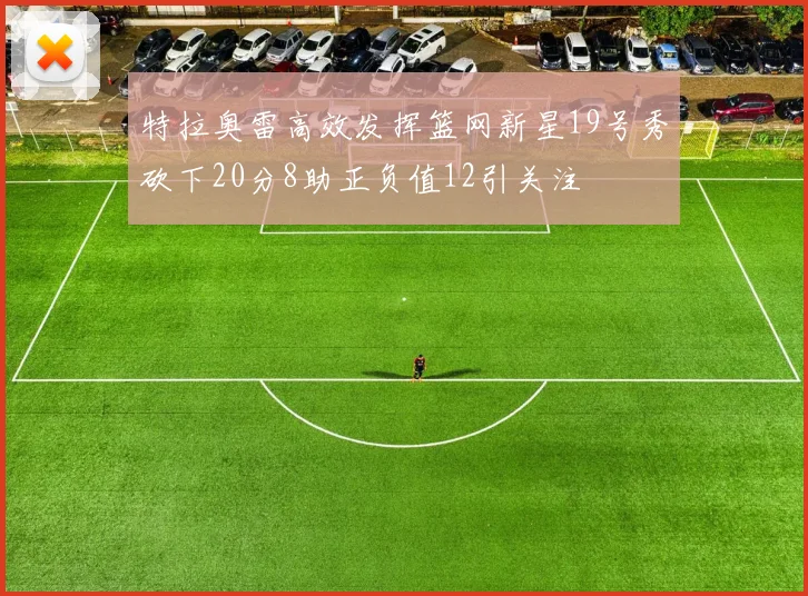 特拉奥雷高效发挥篮网新星19号秀砍下20分8助正负值12引关注