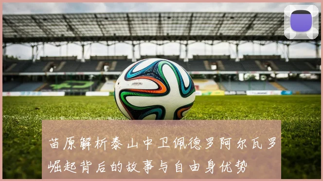 苗原解析泰山中卫佩德罗阿尔瓦罗崛起背后的故事与自由身优势