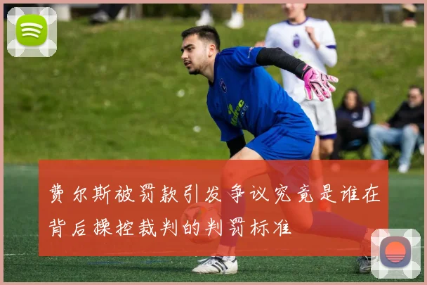 费尔斯被罚款引发争议究竟是谁在背后操控裁判的判罚标准