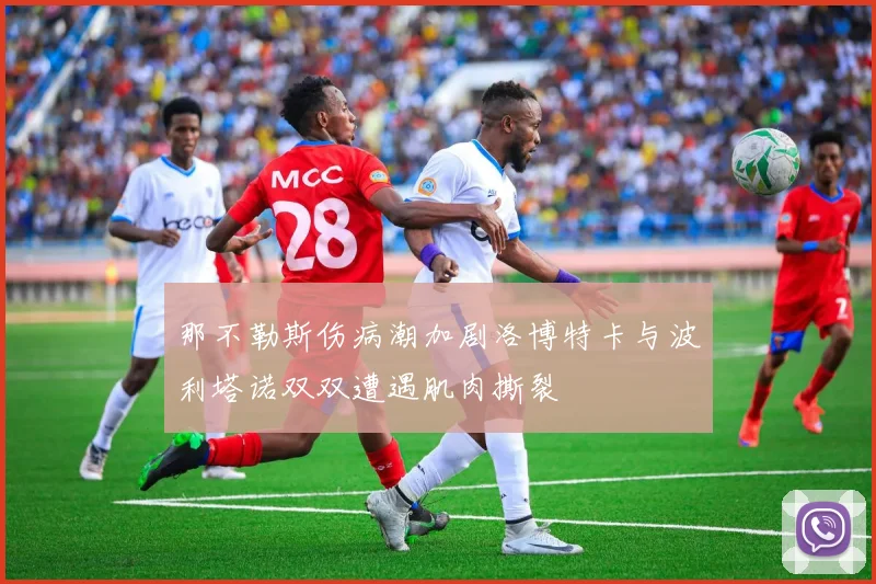 那不勒斯伤病潮加剧洛博特卡与波利塔诺双双遭遇肌肉撕裂
