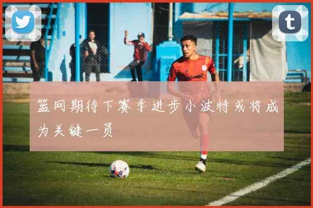 篮网期待下赛季进步小波特或将成为关键一员